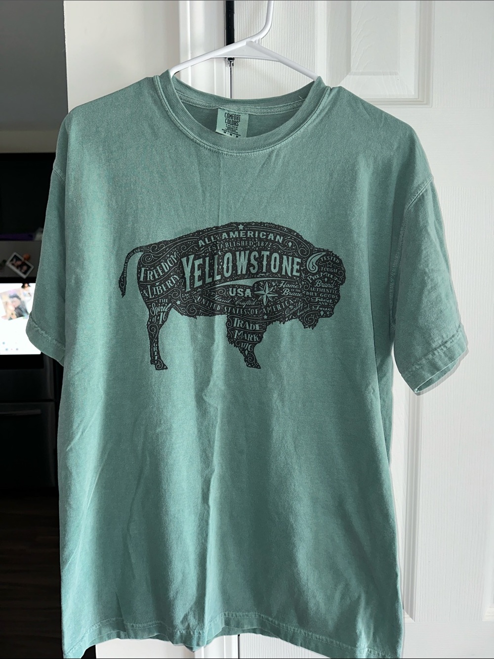 Comfort Colors Yellowstone Sage Green Short Sleeve Tee
